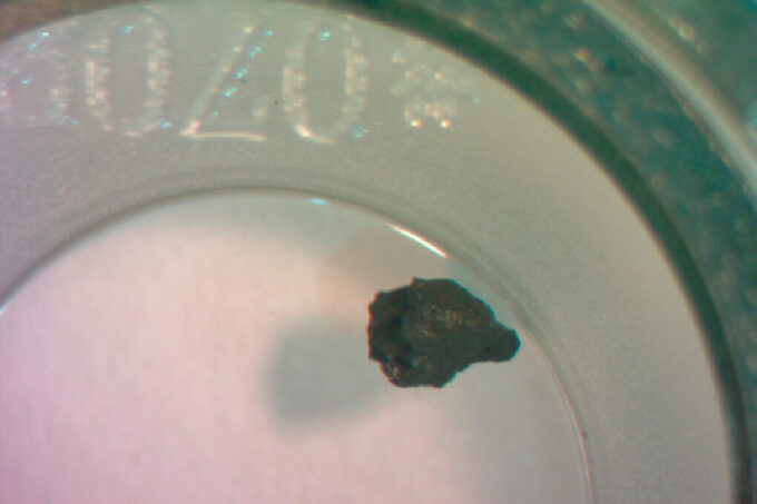 A tiny black fragment of meteor in a petri dish.